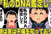 【2ch修羅場スレ】娘「私のDNA鑑定するべき！不倫する母親いらない」汚嫁の不倫現場を見た娘はブチギレ！娘と証拠集めするが間男の娘への態度がおかしいことが判明。さらに間嫁も過去の不倫を知っており…