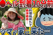 【2ch面白いスレ】デ●ヘルが到着する10分前にマッマが家に上がり込んできたwwww【ゆっくり解説】