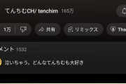 【悲報】てんちむさん、誰のかよく分からない子供を産む
