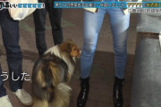 【悲報】みちょぱさん、メス犬認定されてしまうｗｗｗｗｗｗｗｗｗｗｗｗ