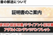 【悲報】ちょっとエッチなワイさん、とんでもないアダルト封筒を勤め先に送られてしまうことに
