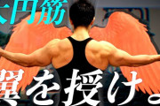 大円筋とかいうコスパ最強の筋肉wwwwwwwwwww