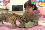 【画像】橋本環奈、動物を愛でる番組で前かがみになり谷間を惜しげもなくスタッフに晒してしまう