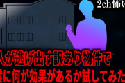 【2ch怖いスレ】住人が逃げ出す訳あり物件で幽霊に何が効果があるか試してみた【ゆっくり解説】