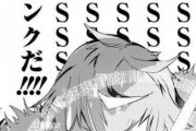 なろう作家｢SランクはSの数が多い程優れてるんやな！｣