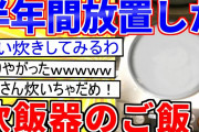 【2ch面白いスレ】炊飯器のご飯を半年間、放置した結果…【ゆっくり解説】