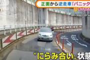 【悲報】“逆走車”怖すぎるｗｗｗｗｗｗｗｗ