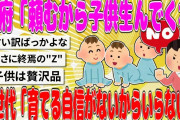 【2chまとめ】政府「頼むから子供生んでくれ」Z世代「育てる自信がないからいらない」【面白いスレ】