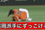 巨人廣岡大志 中田翔 盛大にやらかすwww【2chスレ】【逆転満塁弾】