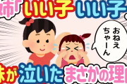 【2ch ほのぼの】姉「よしよし、いい子いい子」園児の兄弟愛がかわいすぎて観察した結果