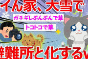 【2ch面白いスレ】ワイの家の縁側、大雪で猫の避難所と化してしまうww【かわいいなぁ・・・】
