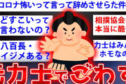 【2ch面白いスレ】元相撲取りだが業界のヤバいこと全部暴露するでごわすww【ゆっくり解説】