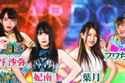 【急募】女子プロレスラー　フワちゃんの必殺技
