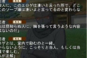【悲報】エロゲオタ「職場で普段エロゲやってるって言ったらドン引きされた、世間の認識はその程度」