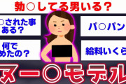 【2ch面白いスレ】ヌー○モデル降臨wwww衝撃の裏側を暴露していくwwww