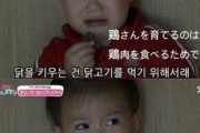 【画像】韓国のコドッモ、真実を知ってしまい阿鼻叫喚