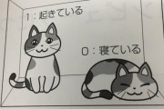 【悲報】日本人さん、物理のテキストにも関わらず「シュレディンガーの猫」理論を捻じ曲げてしまう…