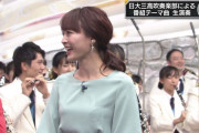 【GIF】新井恵理那さんのお尻、エロすぎる