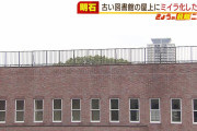 【動画】高校生らが発見『ミイラ化した成人男性の遺体』立ち入り禁止の図書館だった建物屋上で（2021年9月28日）