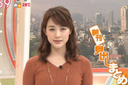 新井恵理那さん(30)って話題にならないけどスケベじゃないか？？？？【TBS】