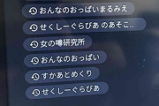 小2息子の検索履歴に『おっぱい』←今のガキはエロ本を知らぬようだな