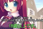 日本のエロゲ「制服着て学校行ってるけど高校生じゃありません！」