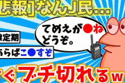 【2ch面白いスレ】ブチギレなんJ民が面白すぎるｗｗ【ゆっくり】