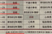 【画像】日本の年代ごとの死因ランキングが闇深すぎると話題にｗ