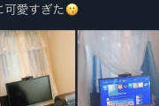 【悲報】APEXの女性ゲーマーさん　コンバーターの映った画像をアップしてしまい炎上