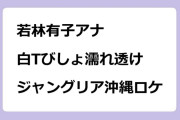 若林有子アナ　白Tシャツびしょ濡れ透けジャングリア沖縄ロケ