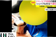 【悲報】ドミノピザ店員、厨房でシェイクをペロペロしてしまう