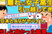 【2chスカッと】【前編】「不倫して出戻りしたコトメちゃんの子をあなたの子供として育てなさい」「あなた不妊なんだからいいじゃない」【ゆっくり解説】