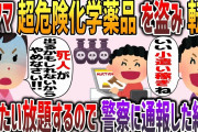 【2chスカッと】泥ママが超危険化学薬品を盗んで転売していた→後日ニュースに取り上げられていたwww【ゆっくり】