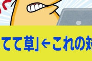 【レスバ】効いてて草←これに勝つ方法