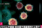 【新型ウイルス】名古屋市で新たに1人死亡、スポーツジムのクラスター感染者 市内では15人目