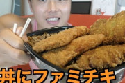 【悲報】元デブワイ、1年ぶりくらいにファミチキを食べるも美味しさをまったく感じない