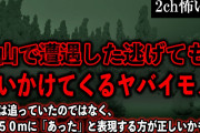 【2ch怖いスレ】雪山で遭遇した逃げても追いかけてくるヤバイモノ【ゆっくり解説】