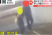 【動画】電線の上で深夜に大声だし大暴れ  ４時間半居座り  男を逮捕