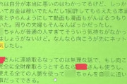 【悲報】やしろあずきさん「結構人を巻き込むので拡散しないで！」