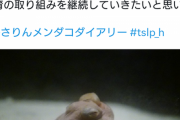 【悲報】メンダコさん、水族館で飼われてキンタマみたいにシナシナになってしまうｗ
