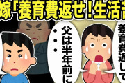 【2ch修羅場スレ】元嫁「父が他界した！養育費返せ！生活苦！」不倫汚嫁と嫁母に傷つけられた俺に味方をしてくれた嫁父は半年前に…。それでも汚嫁の性格は治らず…きっかけは妊娠だった！