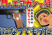 【2ch面白いスレ】お●りの穴にエアガン撃ち込んだら天国が見えたwwww【ゆっくり解説】