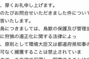 まんさん「カラスが懐いたから家まで連れてきちゃった」