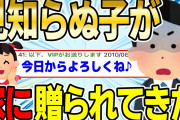 【2ch感動スレ】ある日突然、見知らぬ子が家に送られてきたんだが…【ゆっくり解説】