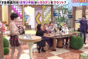 【画像】ホラン千秋さん、ミニスカでふとももを披露してしまうｗｗｗｗｗ