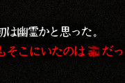【実話】2chに投稿された本当にゾッとする怖い話「危険な肝試し」
