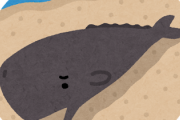【悲報】クジラの淀ちゃん、でかくて臭いと話題にｗｗｗｗ