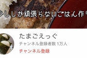 ズッキのクッキングがチャンネル登録者一万人を突破！！顔出しNG腹出しOKの新スタイル大成功でアンチ脂肪ｗｗｗｗｗｗｗｗ