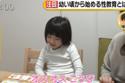 【悲報】 まんさん「うちの娘には早い内から性教育を覚えさせています」
