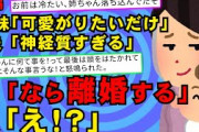 【2chスカッとスレ】【後編】息子を異常に可愛がるコトメ「私の息子です（写メ）」私『母親は私よ！』コトメ「冗談よ」 → 夫「嫁は神経質だ！」妹『本気？』夫「えっ」 → なんと【ゆっくり解説】